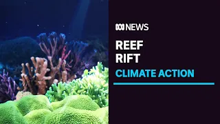 $1b plan to save Great Barrier Reef is too little, too late, critics say | ABC News