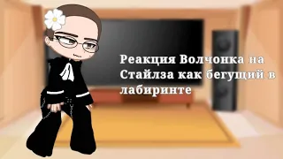 Реакция Волчонка На Стайлза как Бегущий в лабиринте