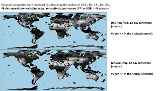 564 Generating Global Temporal Coherence Maps from one year of Sentinel 1 C band data