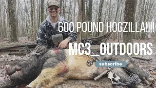 HOGZILLA! | Huge East Tennessee Hog Shot With A Bow | March 16, 2022