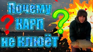 Почему карп не клюёт? Основные ошибки при ловле карпа на флэт фидер