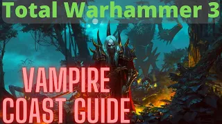 Vampire Coast In Depth Guide! TW3 Immortal Empires