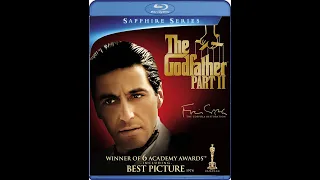 The Godfather 2 1974 Türkçe Dublaj VCD