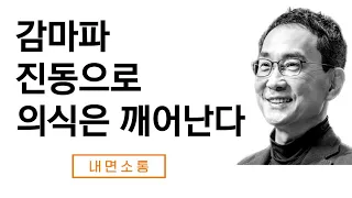 감마파 진동이 뇌 건강에 미치는 영향