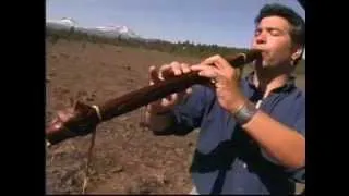 Play the Trees! An Introduction to the Native American Style Flute by Ward Jene Stroud