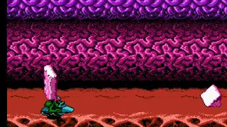 Levels from Hell, Battletoads (NES), Stage 3