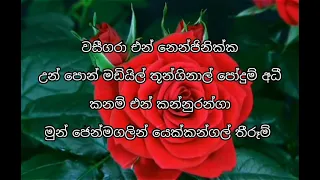 Vaseegara song lyrics in sinhala/ වසීගරා/full song