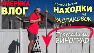 Куда же мы без них! Наводим порядок используя находки из распаковок/ Пересадили виноград и не только