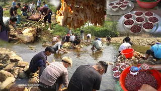 ĐÁM CƯỚI KHỦNG ĂN NHIỀU ĐỒ SỐNG • Bò • Gà • Lợn Tính Bằng Tạ | Nhịp Sống Thường Ngày