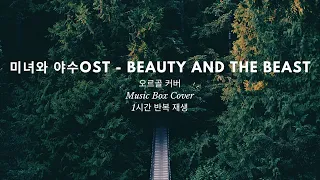 [1시간 반복 재생] 미녀와 야수OST - Beauty And The Beast ㅣ오르골 커버ㅣMusic Box Cover