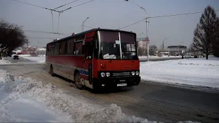 Автобус Икарус (Ikarus 250) (К 239 РЕ 22)