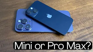 13 Mini or 14 Pro Max