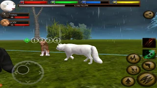 Ultimate Cat Simulator, By Gluten Free Games