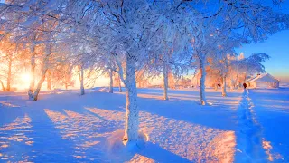 ❄ Beautiful Winter Snow Scene Relaxing Piano Music - Soothing Calming Sleep Meditation Study Music 7