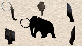 Cute Animals Woolly Mammoth Puzzle Games | 귀여운 동물 털북숭이 매머드 퍼즐