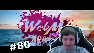 Шусс смотрит: Dank WebM Compilation #80