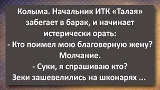 Благоверная Жена Начальника Колонии "Талая"! Сборник Самых Свежих Анекдотов!