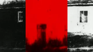 масло чёрного тмина - triggerman(NyKoto(NK)Remake)
