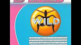 WILD FM VOLUME 11 - WILD VOLUME 11 MEGAMIX (KCB)