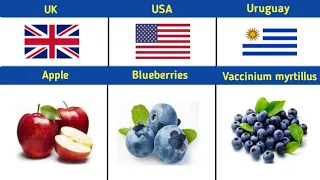 National Fruit from different countries (Part-2)