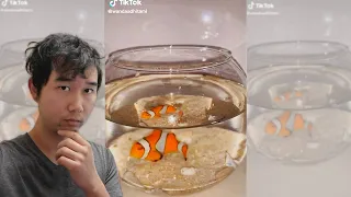 What happens if you keep a clownfish in a bowl? | Fish Tank Review 75