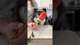 The Perfect Watermelon Dog Treat!