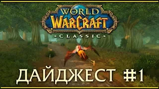 WoW Classic дайджест #1. Запуск игры, слои, пвп, мой личный прогресс.