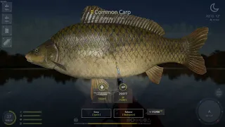 Russian Fishing 4 - Amber Lake, Trophy Spot New Config