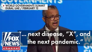 Next pandemic 'a matter of when, not if,' says WHO head