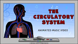 Circulatory System | How The Heart Works | ANIMATED MUSIC VIDEO |