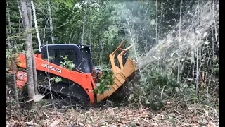 SVL95 with Diamond Mower Annihilating Trees