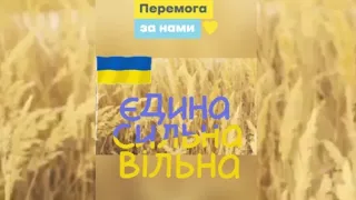 Віримо в Перемогу України! / Паросток (Новомиколаївський НРЦ ім. В.А.Польського ЗОР)