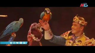 Гия Эрадзе и «Королевский цирк» представят в Волгограде грандиозное шоу