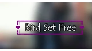 Bird Set Free By SIA- Cover By GabyD