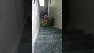 spongebob falls down the stairs