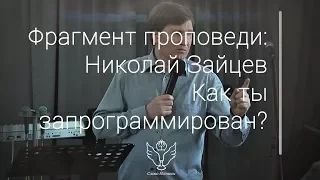 Николай Зайцев - Как ты запрограммирован?