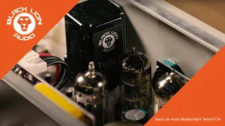 Black Lion Audio // Modded Klark Teknik KT2A Optical Tube Leveling Amplifier