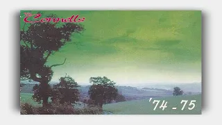 The Connells -  74 -75 (Lyrics)