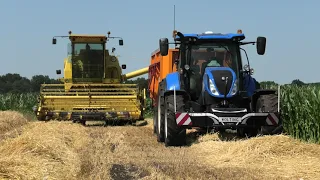 WINTERGERST DORSEN MET EEN  NEW HOLLAND CLAYSON 1545 NEW HOLLAND T 6.155