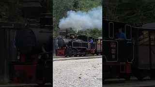 Mocănița de la Vişeu de Sus ~ Sosire la ultima statie  ~ Tren Abur ~ Maramures ~