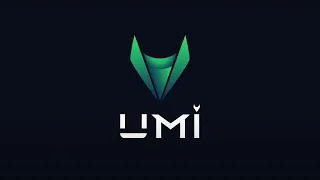 Разбор универсальной монеты UMI часть 2