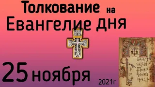 Толкование на Евангелие дня  25 ноября  2021 года