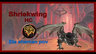 Heroic Shriekwing - Elemental Shaman PoV, Castle Nathria, WoW 9.0.2.