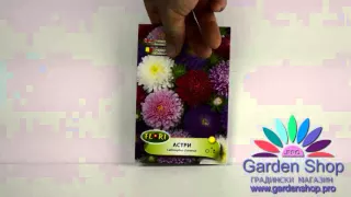 Цветы Иван - супер подарок семена микс Астри помпон