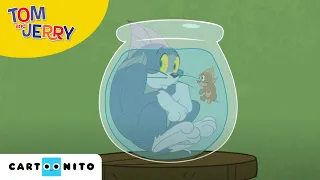 Tom i Jerry Show | Czas na kolację | Cartoonito