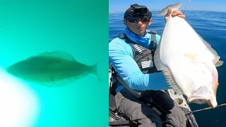 Halibut Fishing with an Underwater Camera POV!