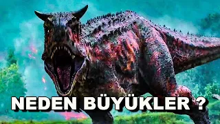 Dinozorların Boyu Niye Bu Kadar Büyük?