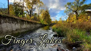 Finger Lakes Fishing - Salmon, Trout, and Smallmouth