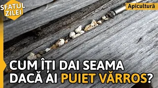 Cum îți dai seama dacă ai PUIET VĂRROS? [Sfatul zilei]