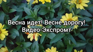 ТОП 8 Весенних Ароматов | Весна идет - Весне дорогу!